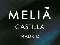 Melia Castilla Madrid